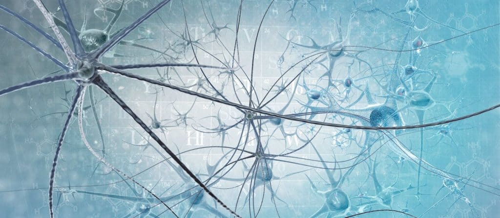 Axol-Bioscience-human-iPSC-image-Stem-Cell-Differentiation.jpeg