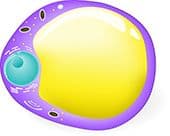 Axol-Bioscience-human-iPSC-image-ir_attachment_14829.jpg